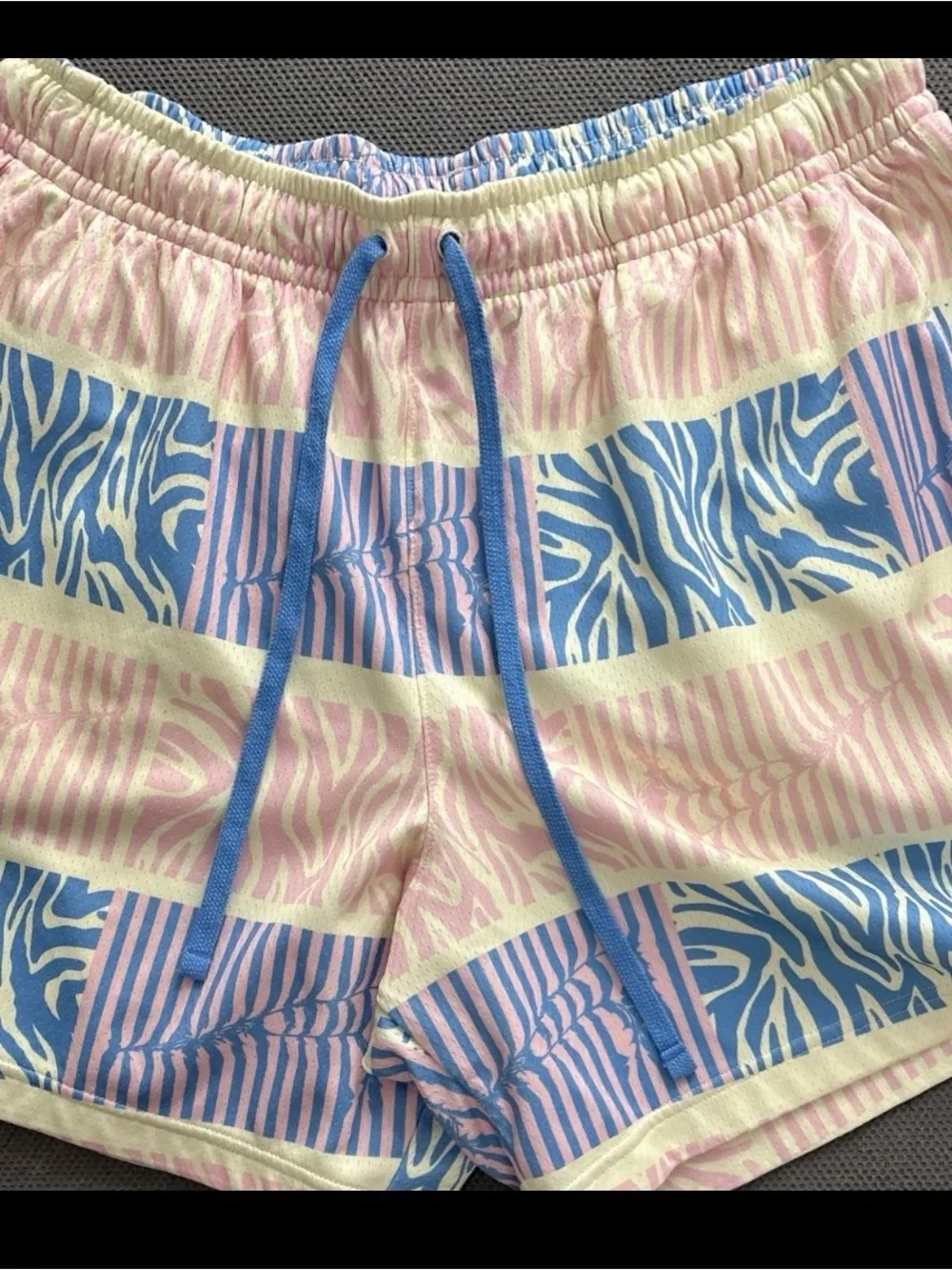 Nike Men’s Pink & Light Blue Zebra-Stripe Swim Trunks